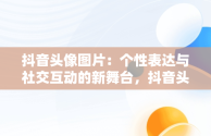 抖音头像图片：个性表达与社交互动的新舞台，抖音头像图片2025最火爆 