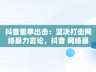 抖音重拳出击：坚决打击网络暴力言论，抖音 网络暴力 