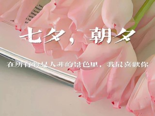 七夕文案最火的一句话(七夕文案2021年)