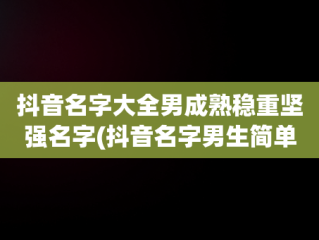 抖音名字大全男成熟稳重坚强名字(抖音名字男生简单气质 霸气2021)