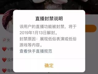 快手直播伴侣的直播已停止因为尝试开始无效的直播会话的简单介绍