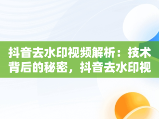 抖音去水印视频解析：技术背后的秘密，抖音去水印视频解析工具 