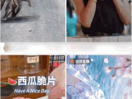 快手极速版怎么删除自己发布的作品视频(快手极速版怎么删除自己发布的作品视频呢)