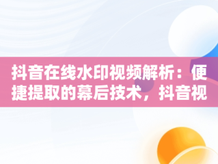 抖音在线水印视频解析：便捷提取的幕后技术，抖音视频在线水印视频解析 