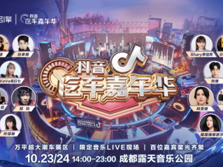 一个抖音嘉年华多少钱人民币,抖音嘉年华多少钱人民币