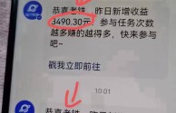 快手直播伴侣24小时无人直播(快手直播伴侣24小时无人直播赚钱吗)