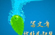 文章润色费用怎么报销,润色一篇文章多少钱
