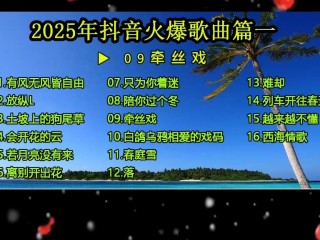 2025最火好听歌曲(202最火的歌曲)