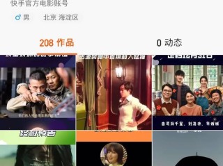 快手成人版的简单介绍