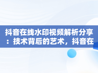 抖音在线水印视频解析分享：技术背后的艺术，抖音在线水印解析视频网址 