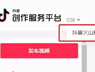 抖音官网服务平台入口(“抖音官网”)
