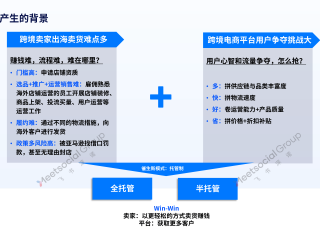 跨境电商平台哪个最好最可靠b(2021年跨境电商哪个平台比较好)