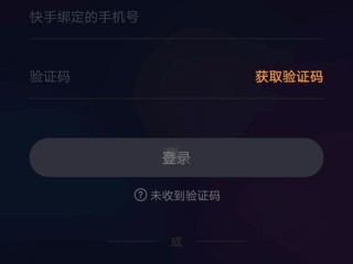 快手官网首页入口看直播有记录吗,快手官网首页入口看直播