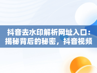 抖音去水印解析网址入口：揭秘背后的秘密，抖音视频去水印解析网址 