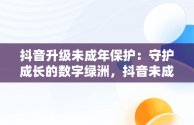抖音升级未成年保护：守护成长的数字绿洲，抖音未成年保护模式 