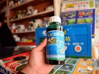 快手直播喝农药的人是谁(快手直播喝农药的人是谁 新闻)