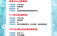 免费开店的跨境电商平台(跨境电商app免费开店软件)