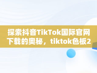 探索抖音TikTok国际官网下载的奥秘，tiktok色板2.4.1 