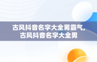 古风抖音名字大全男霸气,古风抖音名字大全男