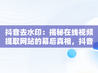 抖音去水印：揭秘在线视频提取网站的幕后真相，抖音短视频去水印在线解析工具 