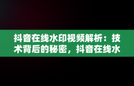 抖音在线水印视频解析：技术背后的秘密，抖音在线水印视频解析安卓版 