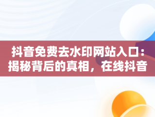 抖音免费去水印网站入口：揭秘背后的真相，在线抖音免费一键去水印网站 
