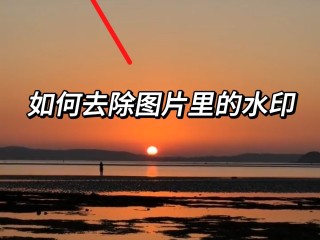 抖音去水印怎么去掉?(抖音去水印怎么去掉?免费)