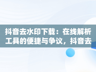 抖音去水印下载：在线解析工具的便捷与争议，抖音去水印解析app 