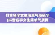 抖音名字女生简单气质俩字(抖音名字女生简单气质俩字一样)