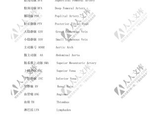 主播英文缩写(主播英文是什么)