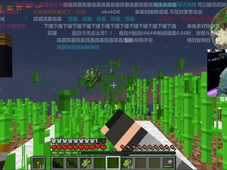 我的世界主播蛋白在哪直播(我的世界主播蛋白的皮肤是什么)