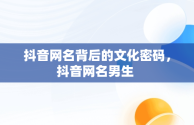 抖音网名背后的文化密码，抖音网名男生 