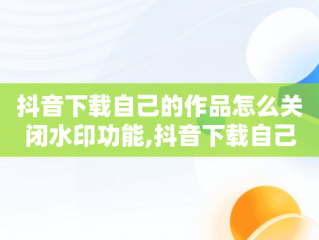 抖音下载自己的作品怎么关闭水印功能,抖音下载自己的作品怎么关闭水印