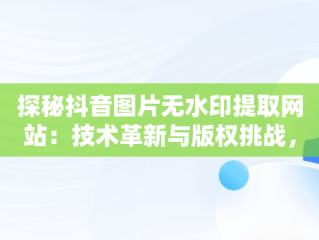 探秘抖音图片无水印提取网站：技术革新与版权挑战，抖音图片无水印提取网站有哪些 
