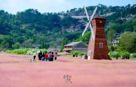 网红图片风景(网红图片大全可爱风景)