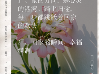 抖音最火回家文案(抖音最火回家文案烟火气)