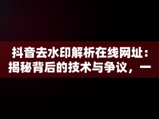 抖音去水印解析在线网址：揭秘背后的技术与争议，一键去水印免费网址 