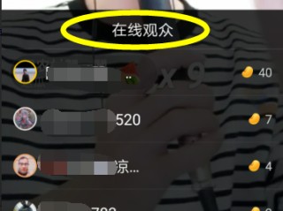 快手在线观看视屏(快手在线观看短视频)