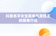 抖音名字女生简单气质姓王的简单介绍