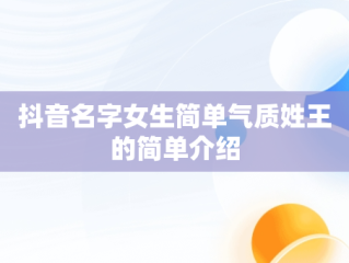 抖音名字女生简单气质姓王的简单介绍