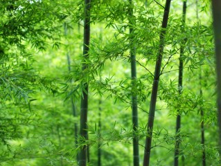 下载快手到桌面上(下载快手到桌面上怎么下载)
