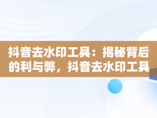 抖音去水印工具：揭秘背后的利与弊，抖音去水印工具下载 