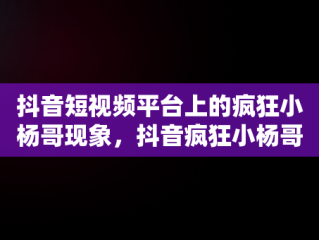 抖音短视频平台上的疯狂小杨哥现象，抖音疯狂小杨哥年收入 