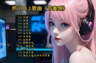 dj车载音乐超重低音炮,dj歌曲2025最火歌曲