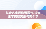 抖音名字昵称男霸气,抖音名字昵称男霸气两个字