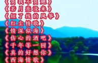 最火的十首bgm2025的简单介绍