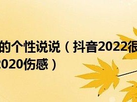 2021抖音下雪超级火的句子(抖音下雪超级火的句子抖音最美下雪文案)