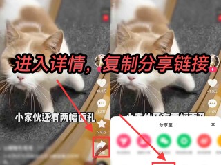 快手极速版下载最新版(快手极速版下载2023年最新版免费)