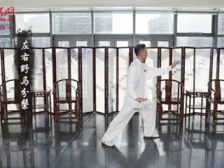 包含快手电脑版在线观看视频太极24式的词条