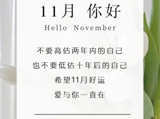 十一月最火文案短句,十一月最火文案短句有音符